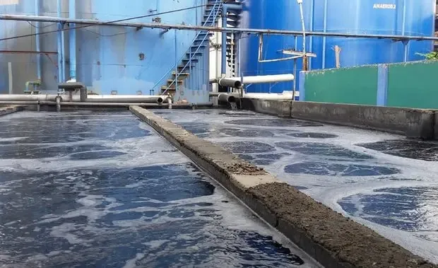 Textile/Agriculture Sector ETP