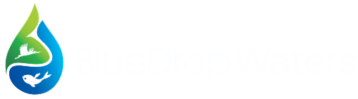 BlueDrop Logo