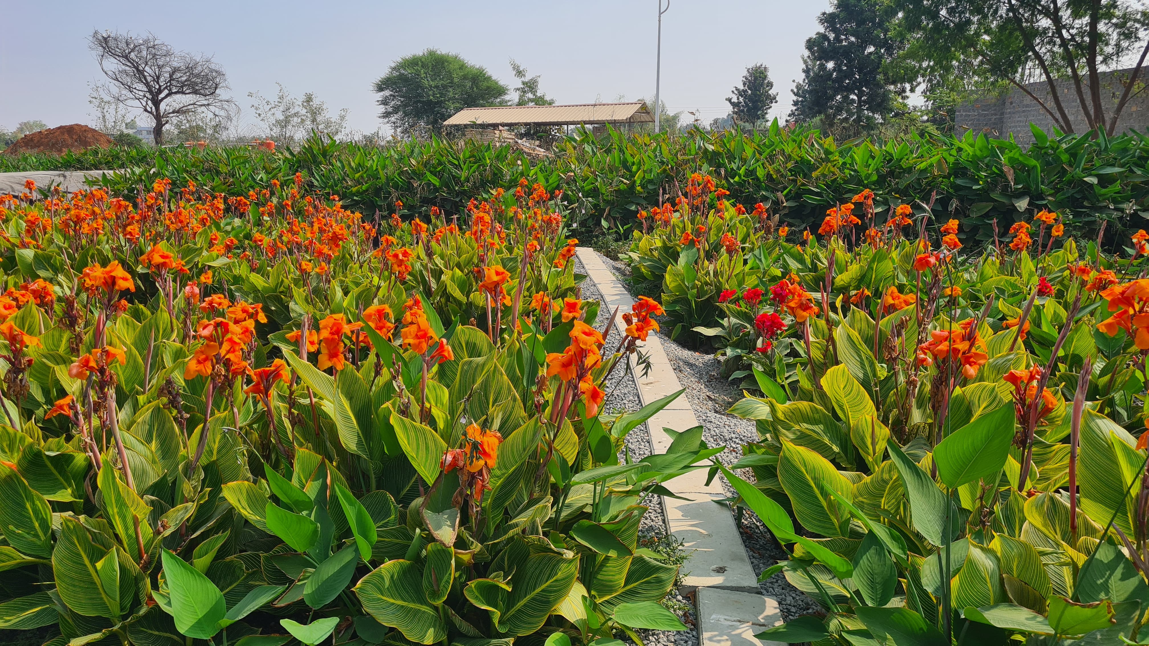 Nature-based Solutions