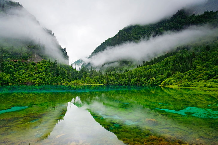Urban Lakes & Waterbodies